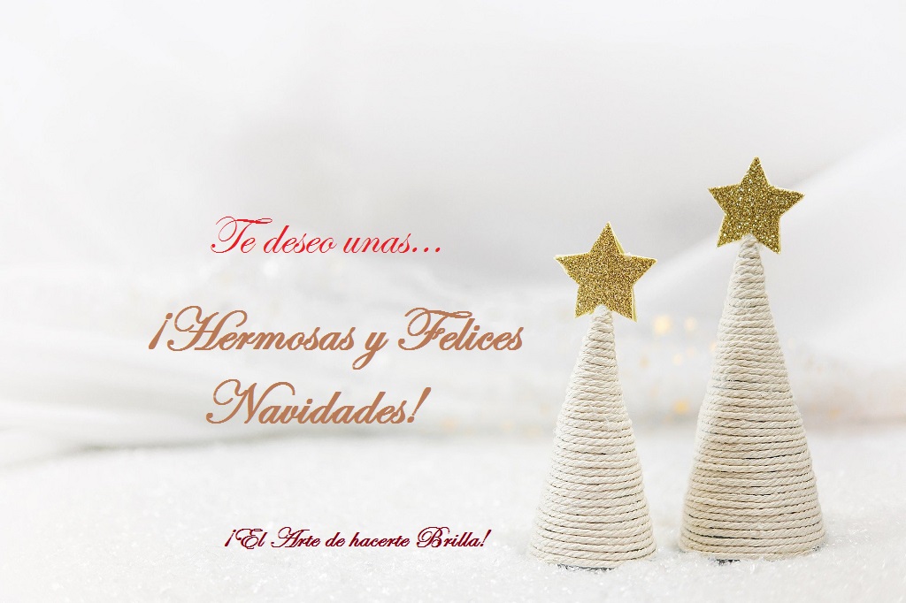 Felices Fiestas. Luisa Portales Make Up Artist